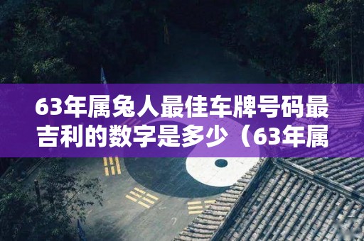 63年属兔人最佳车牌号码最吉利的数字是多少（63年属兔的车颜色）