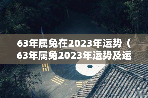 63年属兔在2023年运势（63年属兔2023年运势及运程详解）