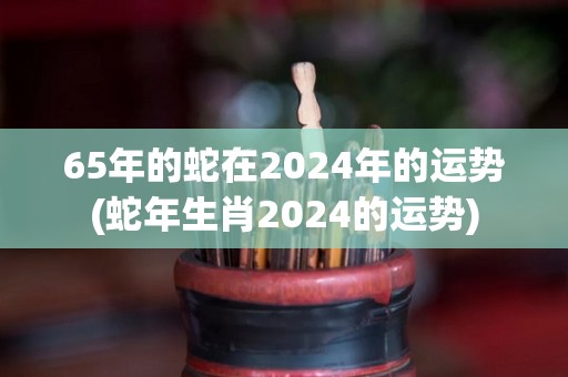 65年的蛇在2024年的运势(蛇年生肖2024的运势)