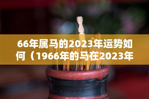 66年属马的2023年运势如何（1966年的马在2023年怎么样）
