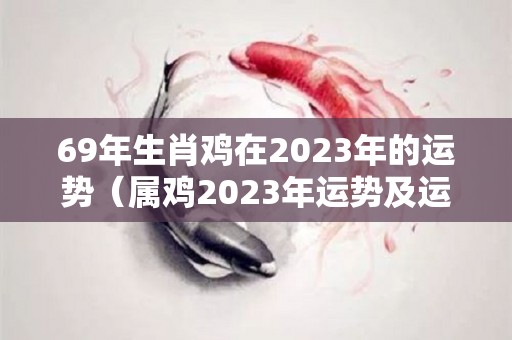69年生肖鸡在2023年的运势（属鸡2023年运势及运程69年的鸡）