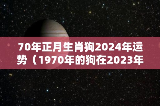 70年正月生肖狗2024年运势（1970年的狗在2023年怎么样）