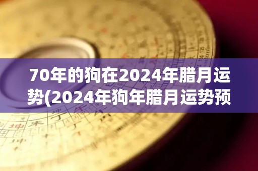 70年的狗在2024年腊月运势(2024年狗年腊月运势预测)