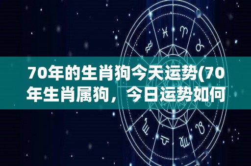 70年的生肖狗今天运势(70年生肖属狗，今日运势如何？)