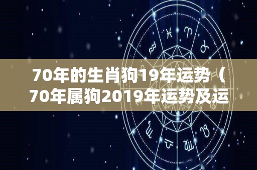 70年的生肖狗19年运势（70年属狗2019年运势及运程每月运程）