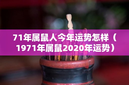 71年属鼠人今年运势怎样（1971年属鼠2020年运势）