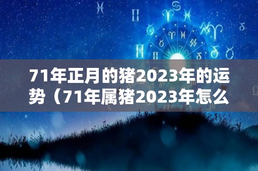 71年正月的猪2023年的运势（71年属猪2023年怎么样）