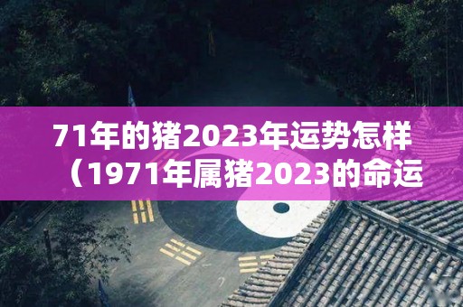 71年的猪2023年运势怎样（1971年属猪2023的命运）