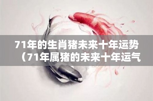 71年的生肖猪未来十年运势（71年属猪的未来十年运气）