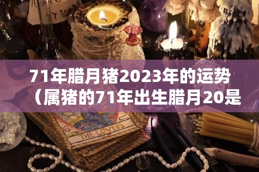 71年腊月猪2023年的运势（属猪的71年出生腊月20是啥命）