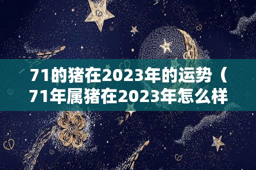 71的猪在2023年的运势（71年属猪在2023年怎么样）