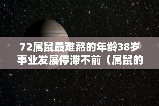 72属鼠最难熬的年龄38岁事业发展停滞不前（属鼠的72岁今年怎么样身体）