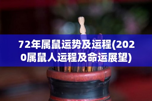 72年属鼠运势及运程(2020属鼠人运程及命运展望)