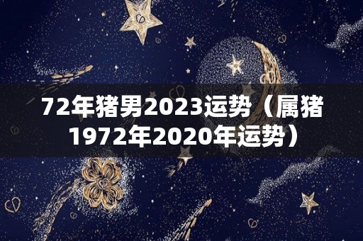 72年猪男2023运势（属猪1972年2020年运势）