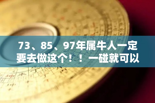 73、85、97年属牛人一定要去做这个！！一碰就可以发大财（97年属牛人的命运和婚姻）