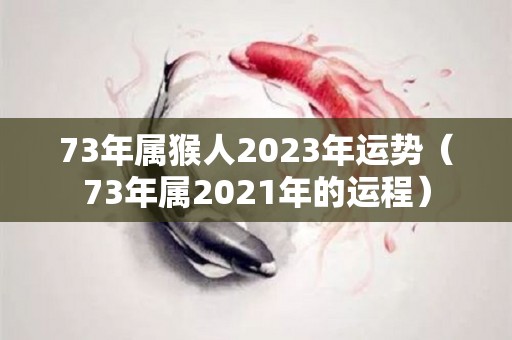 73年属猴人2023年运势（73年属2021年的运程）