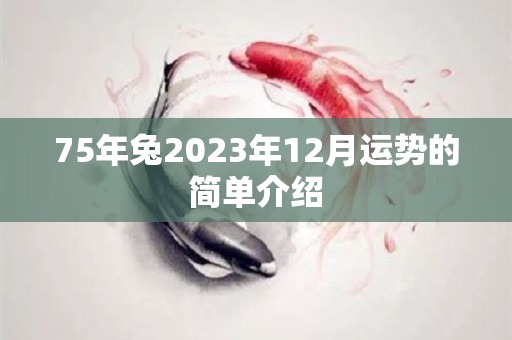 75年兔2023年12月运势的简单介绍