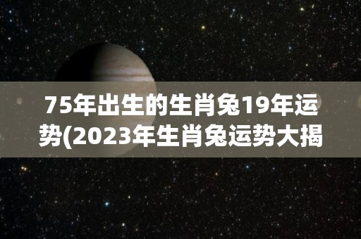 75年出生的生肖兔19年运势(2023年生肖兔运势大揭秘)