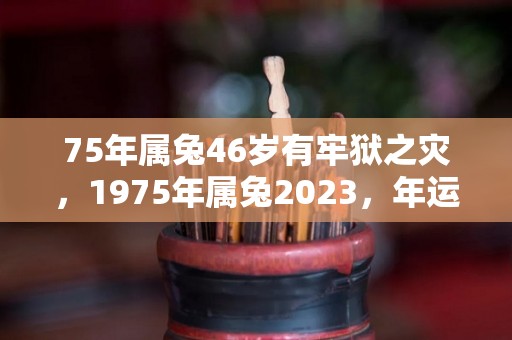75年属兔46岁有牢狱之灾，1975年属兔2023，年运势