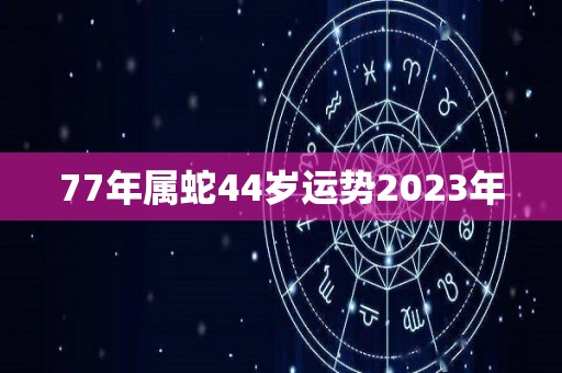 77年属蛇44岁运势2023年