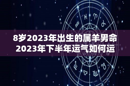 8岁2023年出生的属羊男命2023年下半年运气如何运势详解（2028年是什么命）