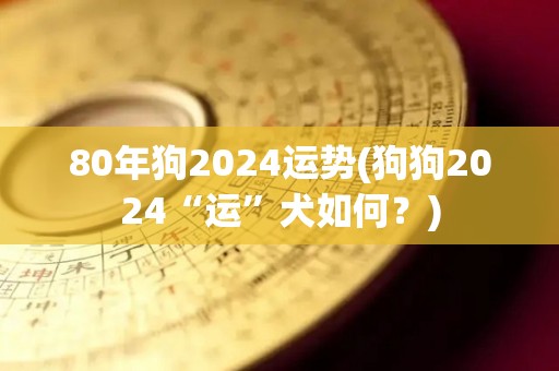 80年狗2024运势(狗狗2024“运”犬如何？)