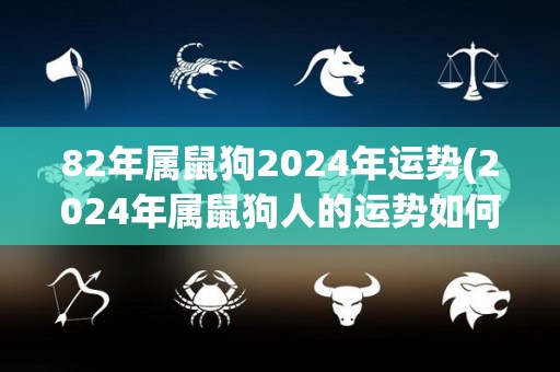 82年属鼠狗2024年运势(2024年属鼠狗人的运势如何？)