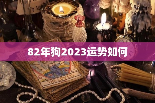 82年狗2023运势如何