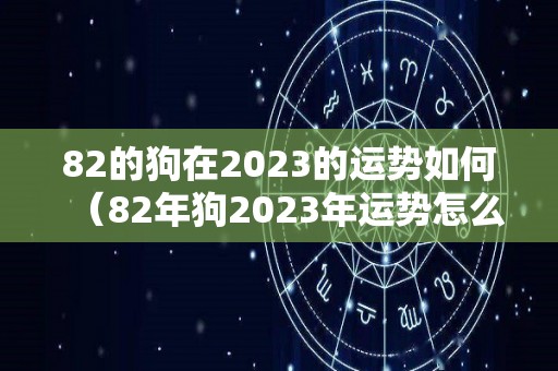 82的狗在2023的运势如何（82年狗2023年运势怎么样）