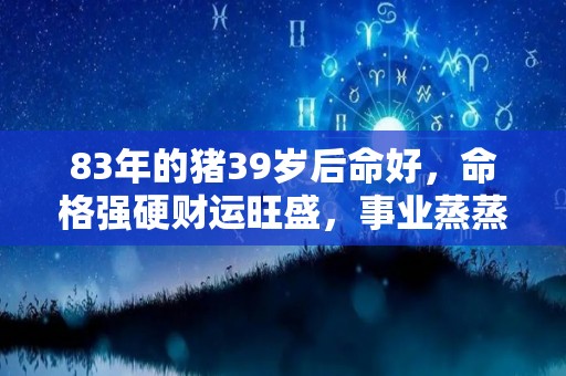 83年的猪39岁后命好，命格强硬财运旺盛，事业蒸蒸日上！（83年的猪38岁后命好）