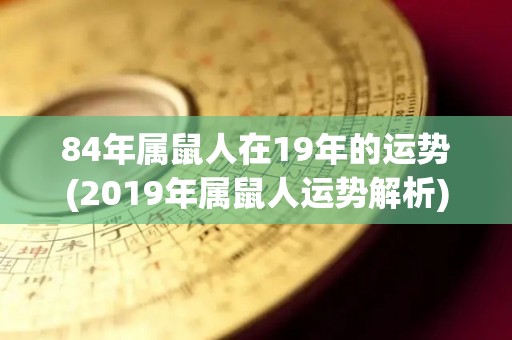 84年属鼠人在19年的运势(2019年属鼠人运势解析)