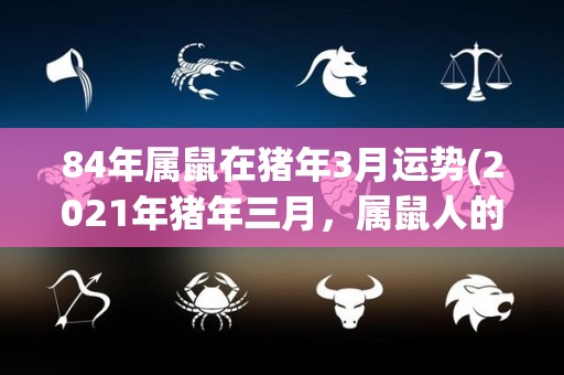 84年属鼠在猪年3月运势(2021年猪年三月，属鼠人的运势如何？)