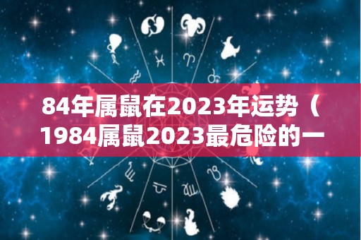 84年属鼠在2023年运势（1984属鼠2023最危险的一个月）