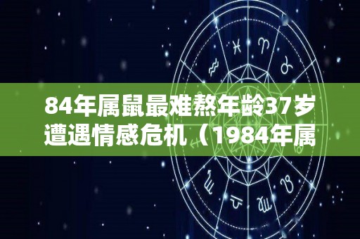 84年属鼠最难熬年龄37岁遭遇情感危机（1984年属鼠的最难熬年龄）