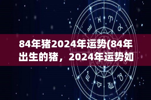 84年猪2024年运势(84年出生的猪，2024年运势如何？)