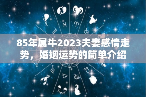 85年属牛2023夫妻感情走势，婚姻运势的简单介绍