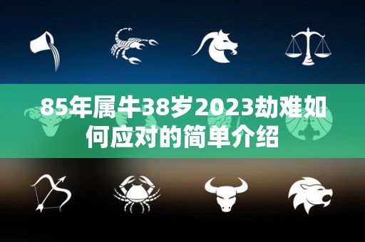 85年属牛38岁2023劫难如何应对的简单介绍