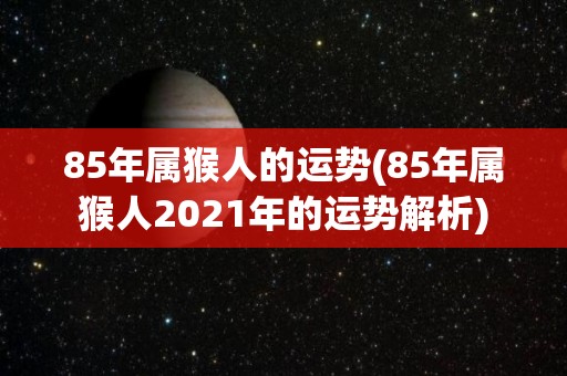 85年属猴人的运势(85年属猴人2021年的运势解析)