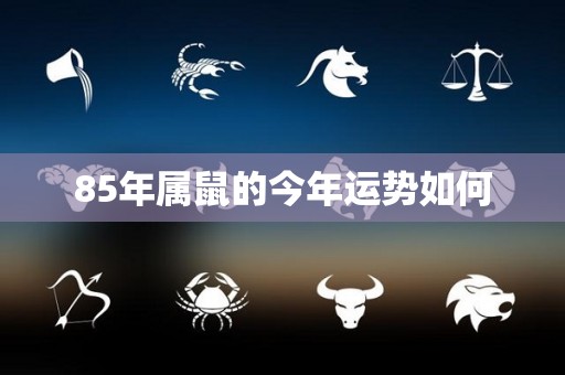 85年属鼠的今年运势如何