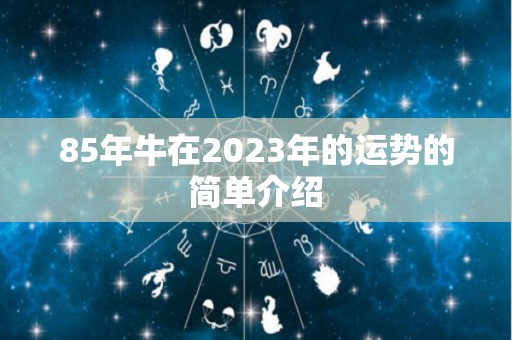 85年牛在2023年的运势的简单介绍