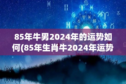 85年牛男2024年的运势如何(85年生肖牛2024年运势如何？)