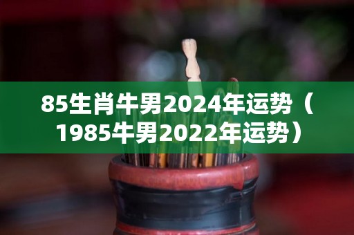 85生肖牛男2024年运势（1985牛男2022年运势）