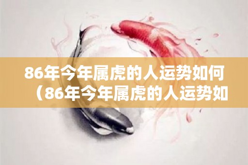 86年今年属虎的人运势如何（86年今年属虎的人运势如何呢）