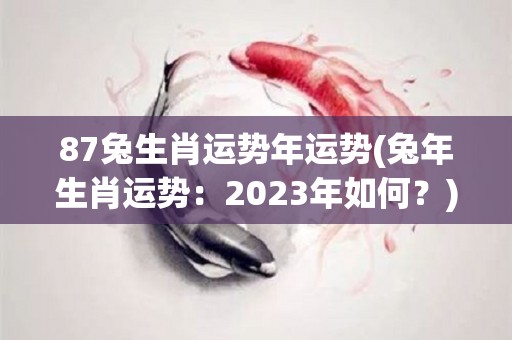 87兔生肖运势年运势(兔年生肖运势：2023年如何？)