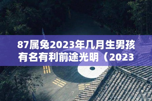 87属兔2023年几月生男孩有名有利前途光明（2023年87年兔的是什么命）
