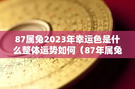 87属兔2023年幸运色是什么整体运势如何（87年属兔的2023年财运怎么样）