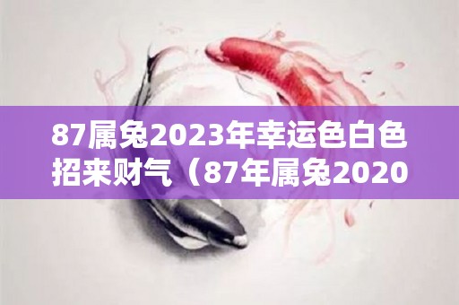 87属兔2023年幸运色白色招来财气（87年属兔2020年幸运色）