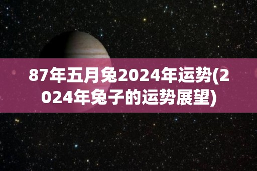 87年五月兔2024年运势(2024年兔子的运势展望)