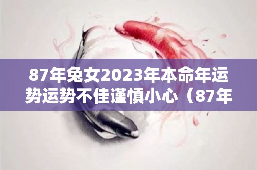 87年兔女2023年本命年运势运势不佳谨慎小心（87年女兔2023年运势如何）