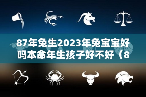 87年兔生2023年兔宝宝好吗本命年生孩子好不好（87年兔生个2023年兔宝宝好吗）